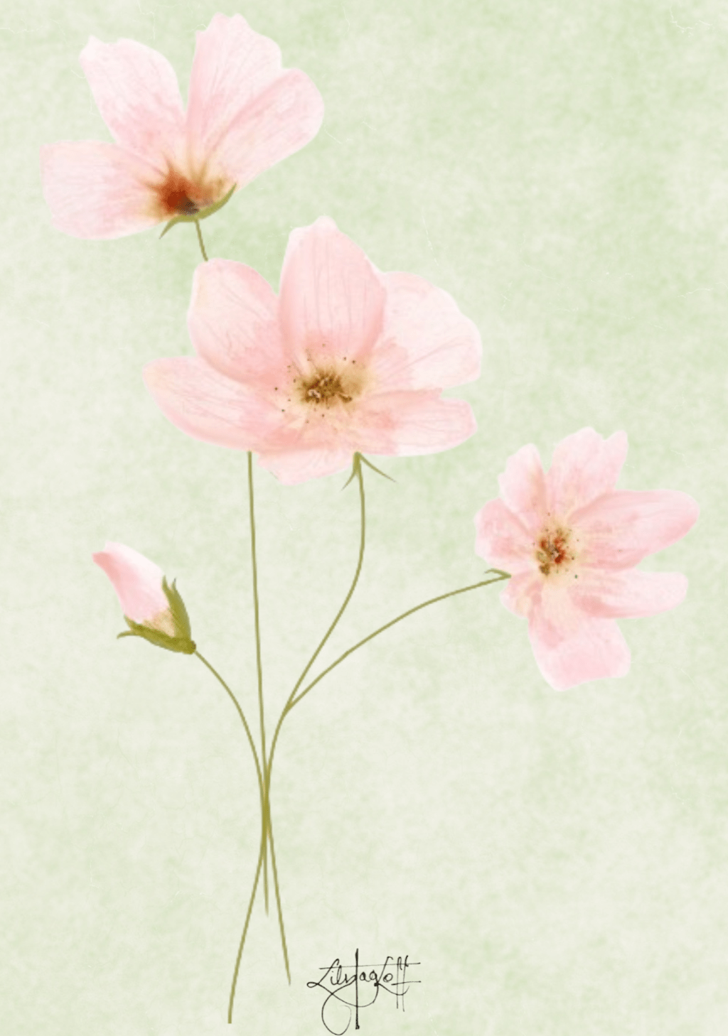 A small bouquet of pink spring&nbsp;flowers