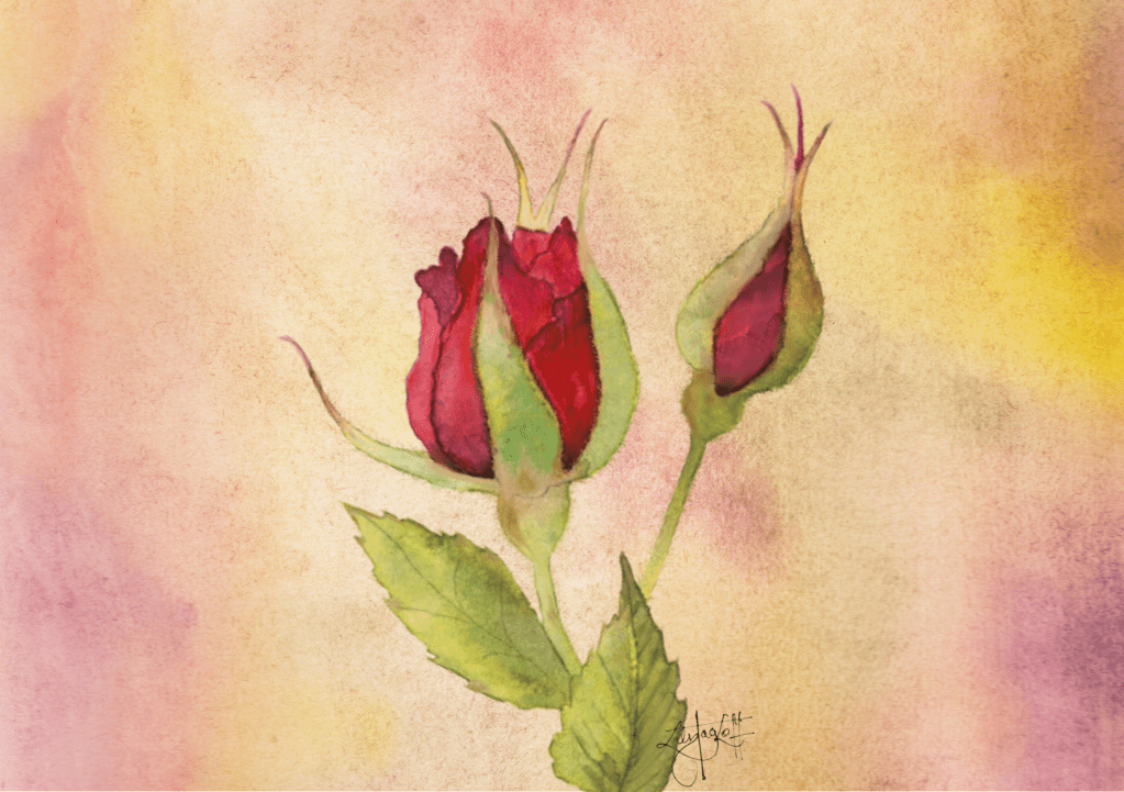 Unique watercolour Red rose&nbsp;painting
