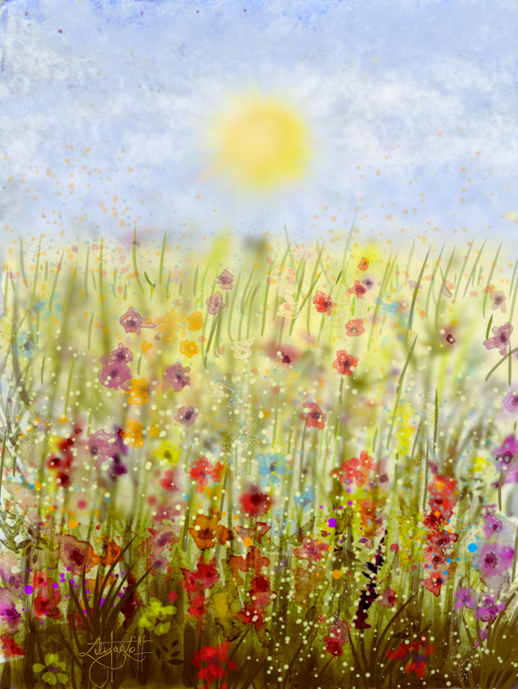 Vibrant wild flowers under a summer&nbsp;sky